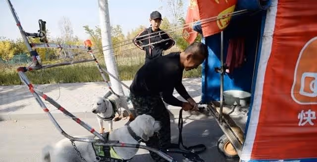 2018年,遼寧父親帶女兒徒步7千里去雲南,路上靠直播補貼生活費