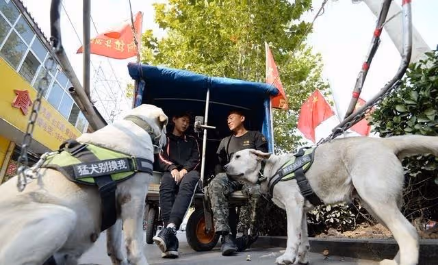 2018年,遼寧父親帶女兒徒步7千里去雲南,路上靠直播補貼生活費