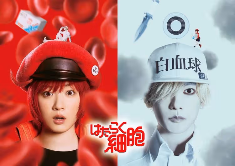 《工作細胞》真人化　佐藤健變身白血球笑翻永野芽郁