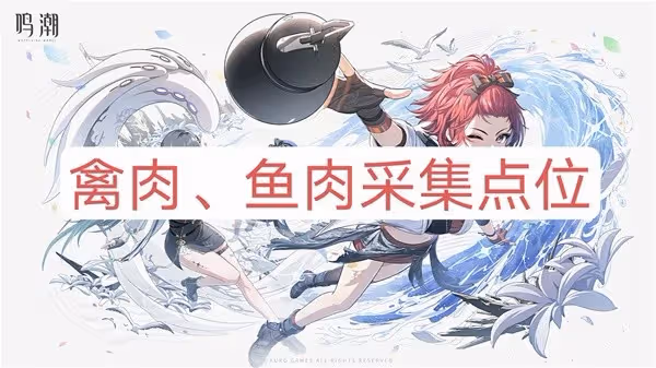 《鳴潮》禽肉與魚肉採集路線分享