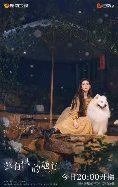 《玫瑰的故事》名台詞出圈，網友：劉亦菲一部一句出圈名台詞