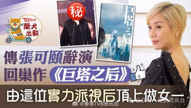 張可頤辭演回巢作《巨塔之後》!由這位TVB實力派視後頂上做女一