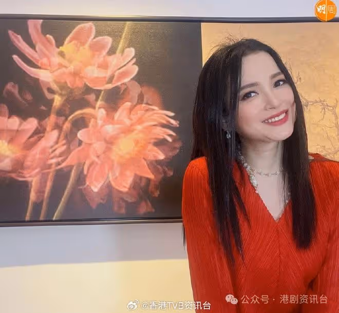樊亦敏健康問題致感情失意!為劉家輝追討百萬財產不敢居功