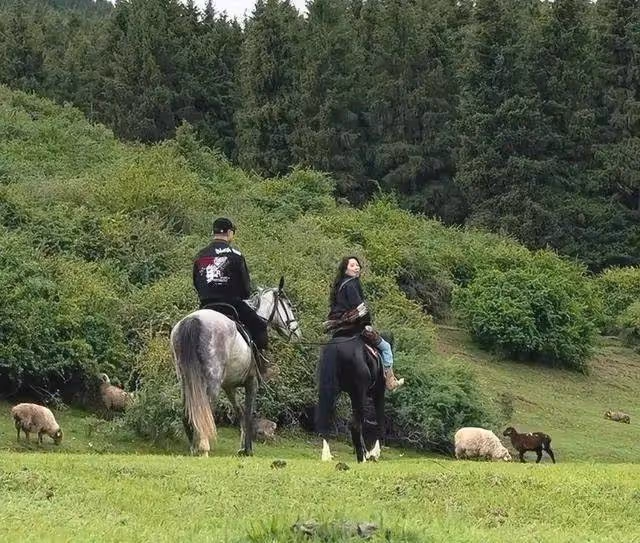 森林北帶汪峰騎馬,真情侶就是甜,教練夸森林北漂亮,說汪峰隨和