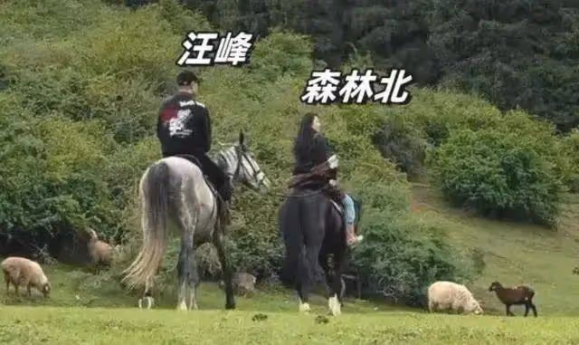森林北帶汪峰騎馬,真情侶就是甜,教練夸森林北漂亮,說汪峰隨和