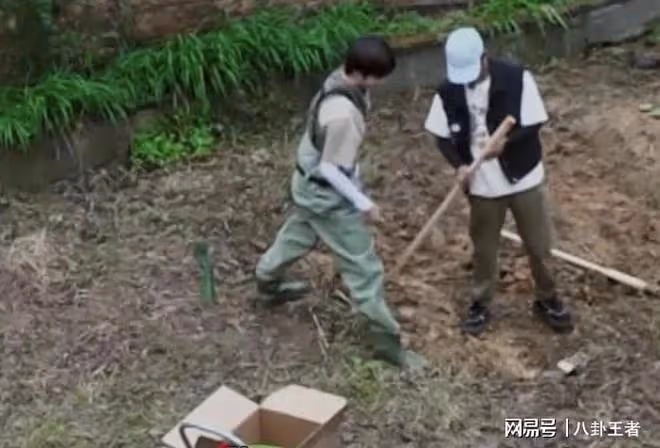 農村人就該幹活?丁真被12名男星抱團欺負!1個人要干13個人的活
