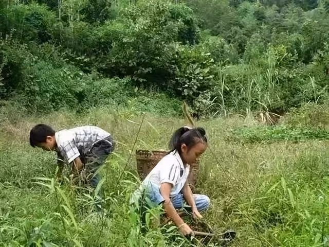 回顧95後女卡車司機:兩次離婚後,卻被奧斯卡導演看中
