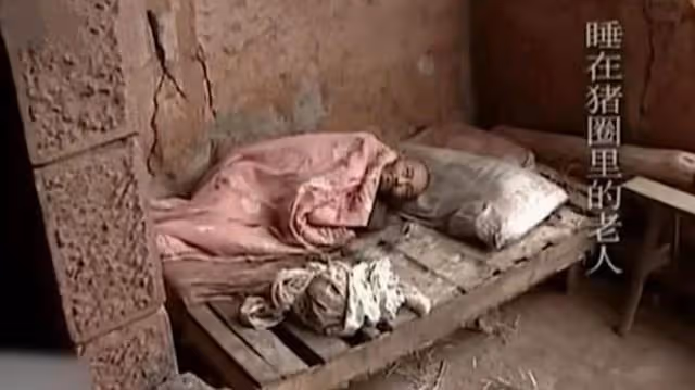 回顧75歲老人住豬圈女兒住洋樓，不孝女稱：眼不見為凈！