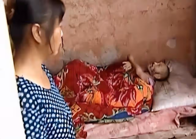 回顧75歲老人住豬圈女兒住洋樓,不孝女稱:眼不見為凈!