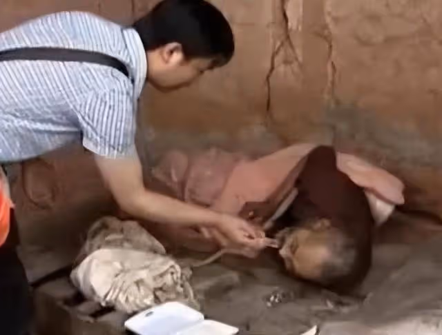 回顧75歲老人住豬圈女兒住洋樓,不孝女稱:眼不見為凈!