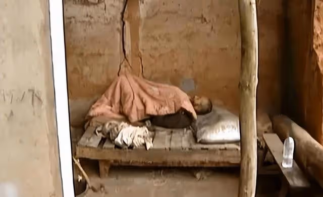回顧75歲老人住豬圈女兒住洋樓,不孝女稱:眼不見為凈!