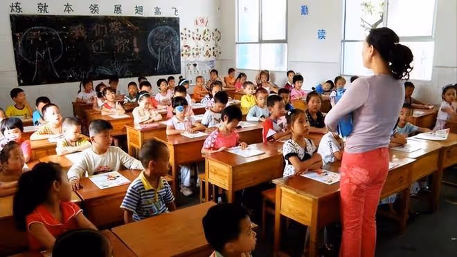回顧:廣州神童陳舒音:12歲考入浙江大學醫學專業,如今怎樣了