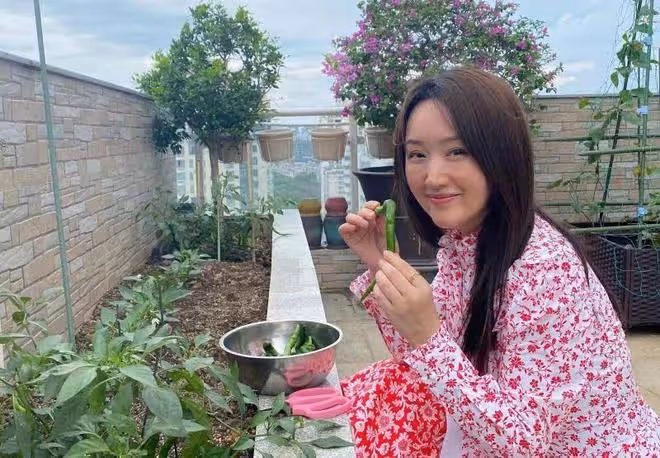 52歲楊鈺瑩自家院子手摘辣椒絕美村姑氣質令人驚艷，單身太可惜！
