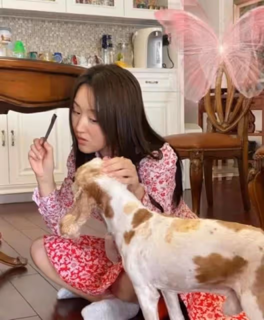 52歲楊鈺瑩自家院子手摘辣椒絕美村姑氣質令人驚艷，單身太可惜！