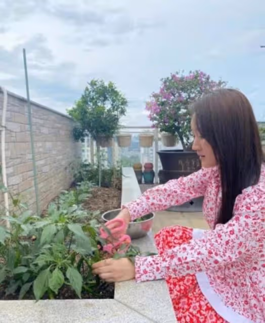 52歲楊鈺瑩自家院子手摘辣椒絕美村姑氣質令人驚艷，單身太可惜！