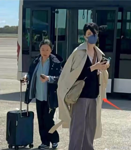 謝霆鋒喜當爹?54歲王菲現身機場,穿著寬鬆肚大如球疑懷孕3個月