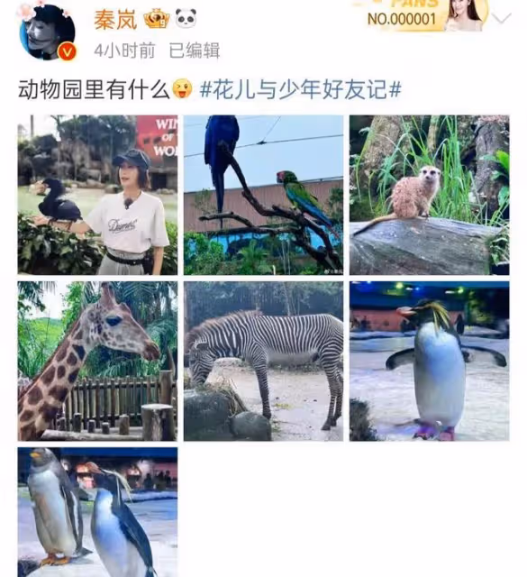 秦嵐魏大勛疑分手,傳男方向女方求婚遭拒,楊冪無辜躺槍