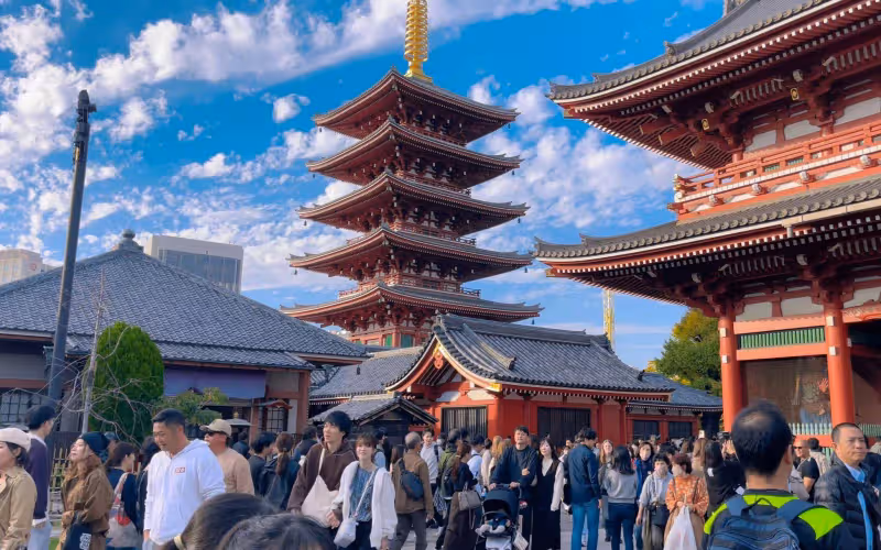 王思聰在日本玩嗨！帶新女伴現身寺廟遊玩，女方穿紅色弔帶顯氣質