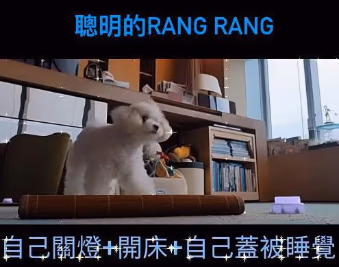 李嘉欣迎接54歲生日,曬定製禮物和狗狗,她的生活狀態很好