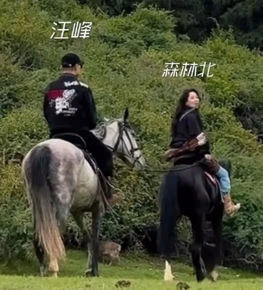 森林北深夜發文:已報案,她和汪峰的感情遭受巨大壓力