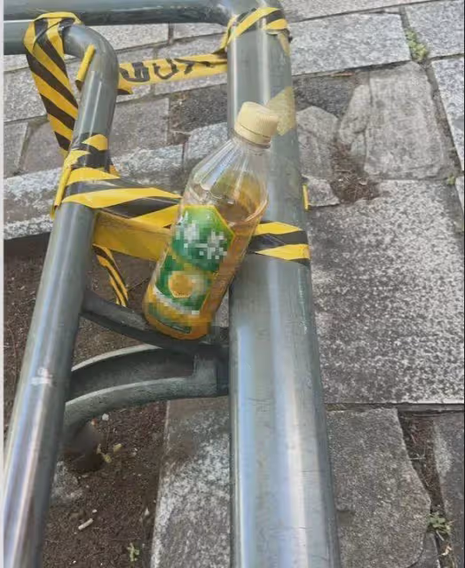 王思聰現身原宿街頭,將喝過的水扔地上,網友:拿去做親子鑑定!