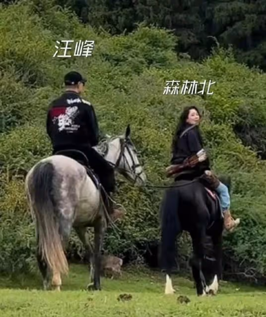 森林北報案維權,評論區罵聲一片,她真比不上章子怡?