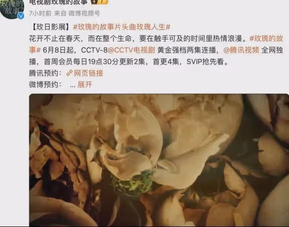 這一次,劉亦菲「油光錚亮」的大象腿,是對內娛畸形審美的反擊