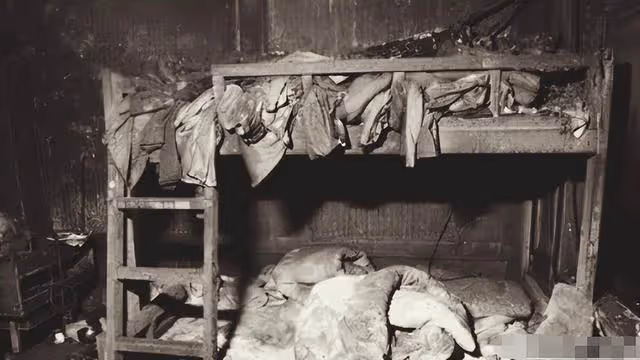 回顧一年姦殺48人,案發現場慘不忍睹,殘疾夫妻變態行為令人髮指