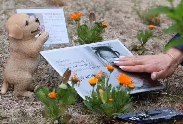 回顧:這個女孩讓韓國蒙羞出生8天遭遺棄、被領養卻慘遭毒打虐殺