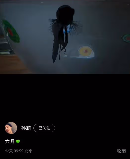 孫莉曬一家五口,三個兒女個個出眾養眼,黃磊發福明顯胖出雙下巴