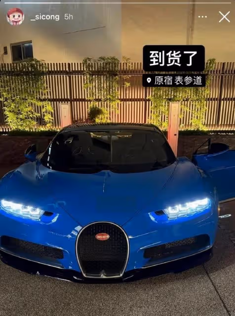 王思聰財富榜位列第9，身家1408億，曬豪車美食展示好心情