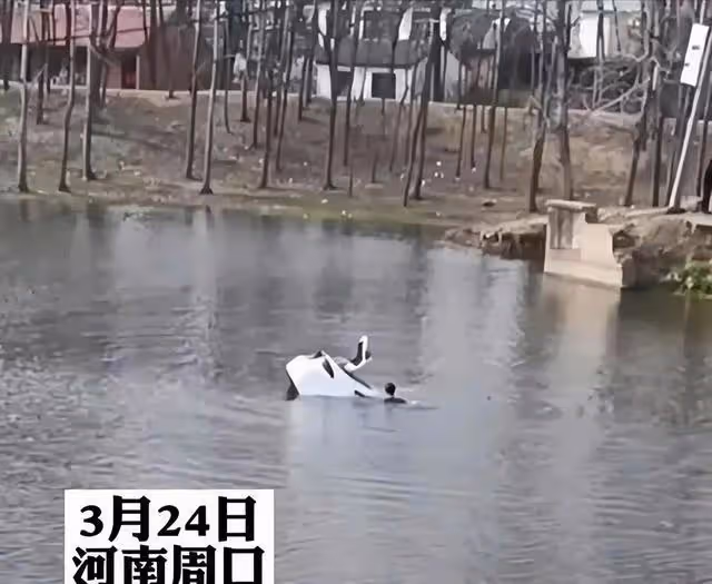 紀實河南男子跳河救人，體力耗盡留遺言，被救女子抓住他：一起走