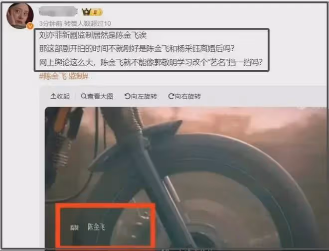 《玫瑰的故事》監製曝光,又是乾爹?劉亦菲和陳金飛再度引發熱議