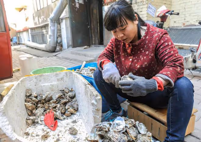 12年,黑龍江女子生三胞胎全患腦癱,父母不放棄,醫生:只能等死