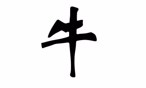 5歲男童哭到派出所要隨媽姓:什麼才是最好的名字,答案亮了