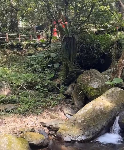 汪小菲首次帶新岳母旅遊,玥兒叫小梅媽媽,孩子終於有陪伴了