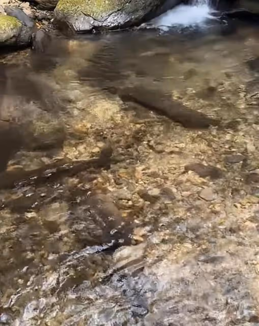 汪小菲首次帶新岳母旅遊,玥兒叫小梅媽媽,孩子終於有陪伴了