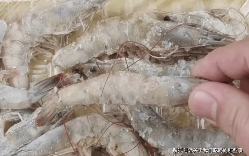 保存大蝦,直接放冰箱就錯了,教您一招,凍半年仍和新鮮的一樣