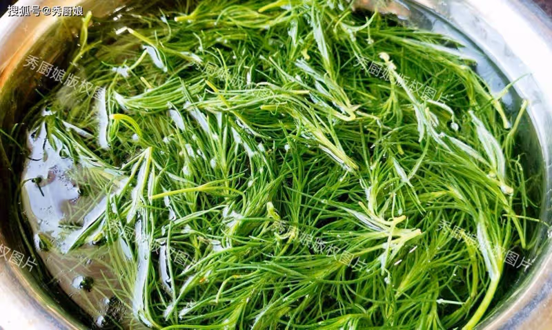 一養肝、二利尿、三瀉火、四通便，這菜全身是寶，卻因名字被嫌棄