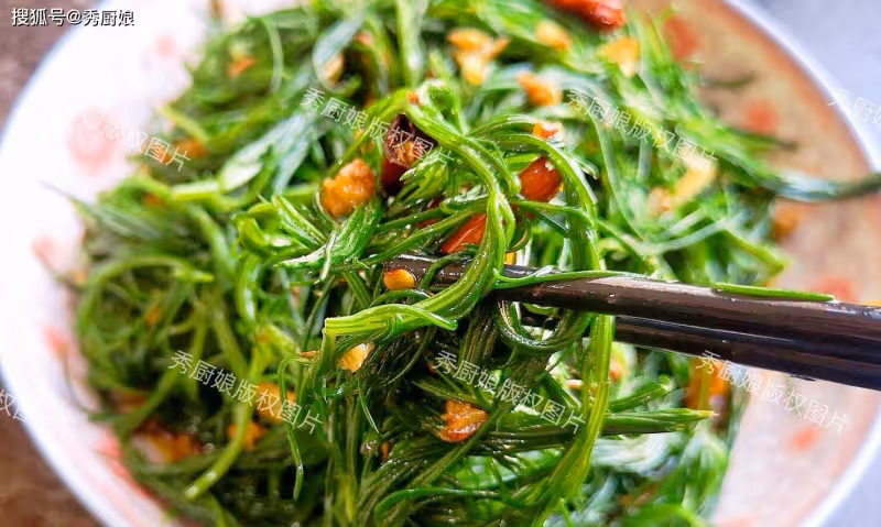 一養肝、二利尿、三瀉火、四通便，這菜全身是寶，卻因名字被嫌棄