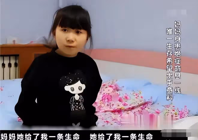回顧山東8歲女孩不聽勸阻捐骨髓，為白血病母親續命，後來如何了