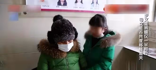 回顧山東8歲女孩不聽勸阻捐骨髓,為白血病母親續命,後來如何了