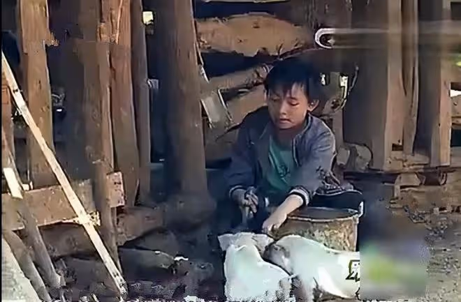 回顧：廣西一男童無依無靠，靠吃野菜為生，獲愛心捐款500萬