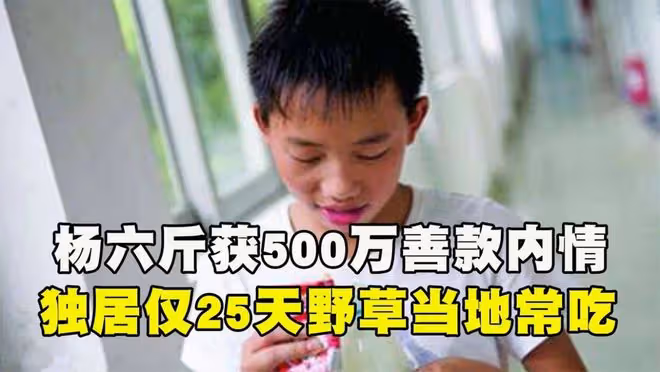 回顧:廣西一男童無依無靠,靠吃野菜為生,獲愛心捐款500萬