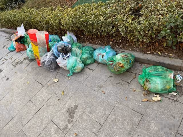 回顧:制裁來了!母女多次往電梯丟垃圾遭頂格處罰,終究自食惡果