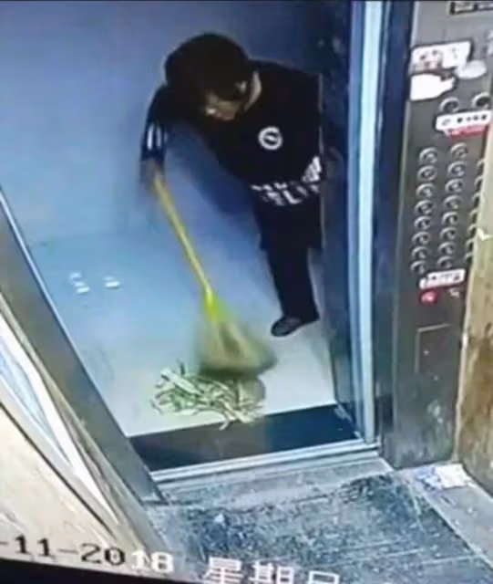 回顧:制裁來了!母女多次往電梯丟垃圾遭頂格處罰,終究自食惡果