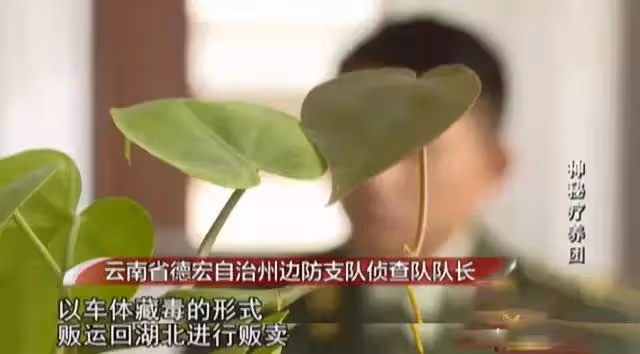 2017年三輛豪車去雲南旅遊,引起警方懷疑,全家12口多人判死刑