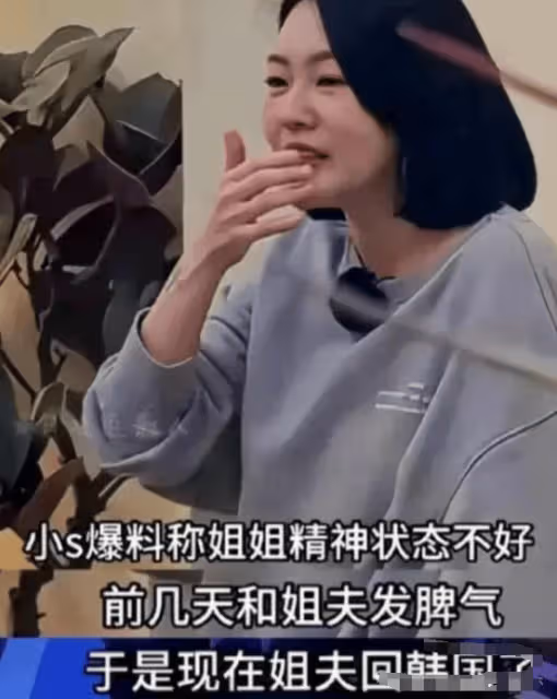 知情人爆料:小S二女兒截胡二姨媽大S代言,姐妹花大小S鬧掰了?
