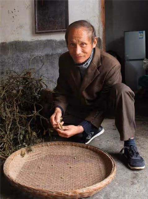 回顧:安徽老漢撞臉普京,爆紅後被外國富婆追求,如今怎樣了