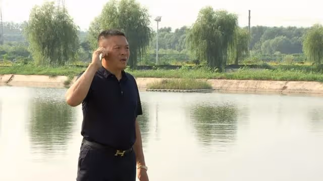 06年湖南男子養7萬條魚賣不出去,如今魚成寶貝,5萬一條都不願賣
